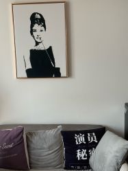 -演员的秘密·皮肤管理