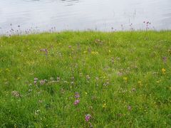 -迪庆藏族自治州博物馆