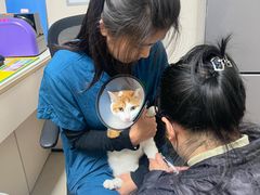 -仁普宠物诊所·中兽医·夜诊·狂犬免疫点(住友昌盛新苑店)