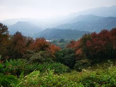 -广州市石门国家森林公园