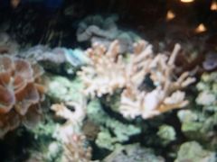 -北戴河圣蓝海洋公园