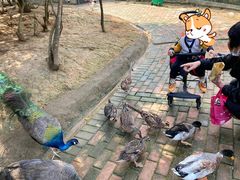 -泉州海丝野生动物世界