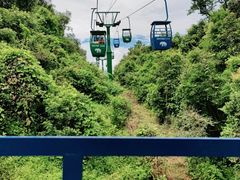 -野象谷景区
