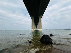 -中澳友谊花园