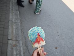 -西双版纳原始森林公园