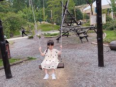 -合肥滨湖国家森林公园