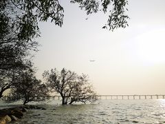 -宝安西湾红树林湿地公园