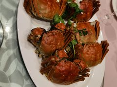 -桃源春晓中餐厅 TaoYuan Restaurant