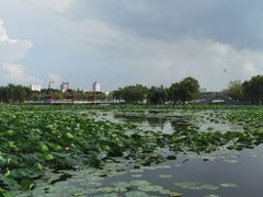 -长春市南湖公园