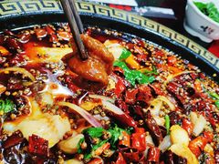 -烧哥美蛙肥肠鱼火锅·十五年社区店