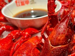 -红盔甲·小龙虾(人民广场店)