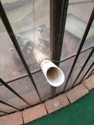 -萌宠亲子动物乐园(槐房万达店)