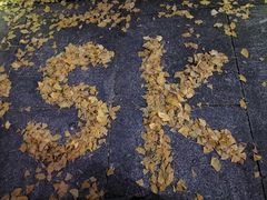 -百林公园-两江幸福广场