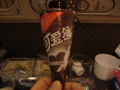 -新加坡航空公司(ION)