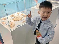 -陕西自然博物馆