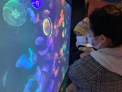 -烟台海昌鲸鲨海洋公园