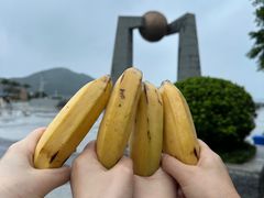 -青澳湾北回归线广场