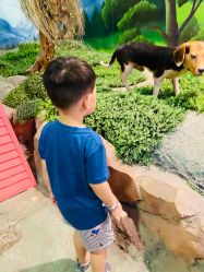 -酷嗒动物文化乐园(cutezoo西溪乐天城店)