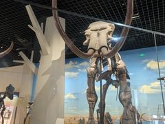 -国家自然博物馆