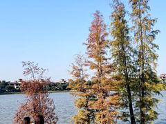 -美的鹭湖森林度假区