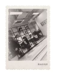 -P.STYLE派斯造型