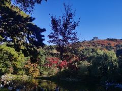 -香山公园