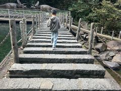 -太湖源风景区