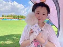 -春花秋色城市公园