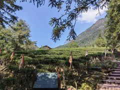 -姑婆山旅游区