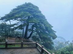 -黄山风景区