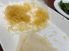-丁老爷子苏香圆