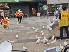 -江燕路万科里