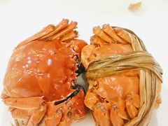 精品花雕熟醉蟹-小厨娘淮扬菜(板桥一店)
