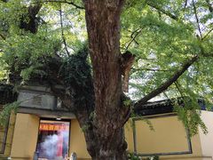 -无锡惠山寺