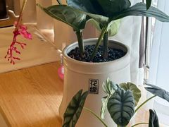 -瑶舍头疗·瑶浴·芳香热石SPA(五洲国际店)