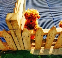 -萌宠亲子动物乐园(槐房万达店)