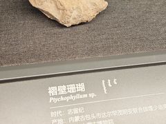 -呼和浩特博物馆
