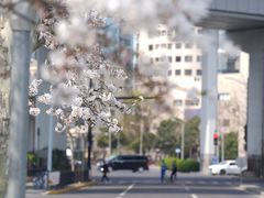 -上海南浦大桥长途旅游客运站