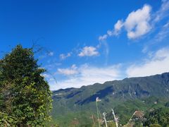 -齐岳山
