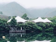 -帐篷客·溪龙茶谷度假酒店
