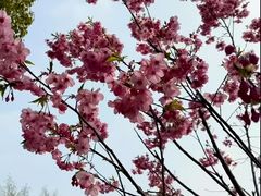 -梁鸿国家湿地公园