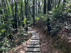 -火炉山森林公园