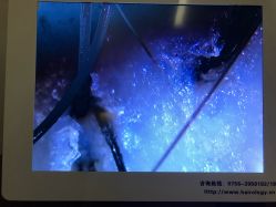 -丝域养发馆