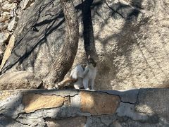 -天津盘山风景名胜区