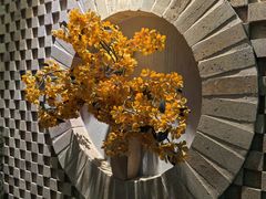 -Dragonfly 悠庭·按摩Spa(苏州中心广场店)