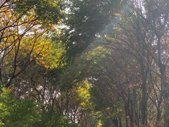 -凤凰沟景区