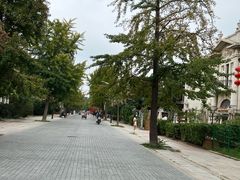 -富斯特索道