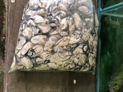 -蚝乡农庄(铁涌赤岸店)