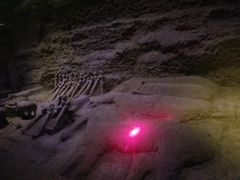 -汉景帝阳陵博物院