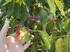 -后谷咖啡(建设巷店)